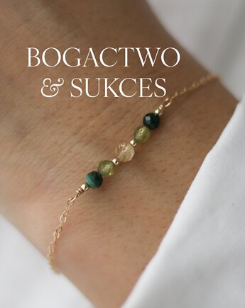 Bransoletka Bogactwa, Sukces i Nowe Możliwości, Vinci Woman