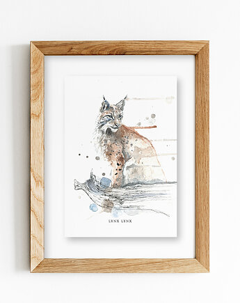 Ryś, A4, JUST ILUST Justyna Małczak