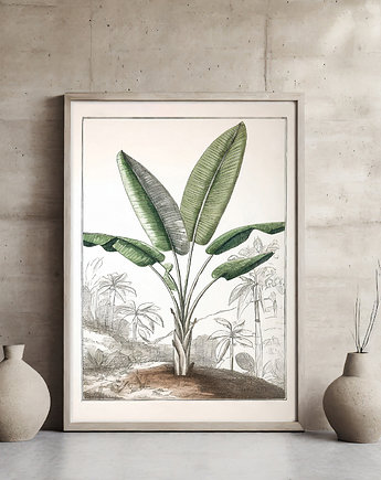Plakat botaniczny, ArchiBotanica