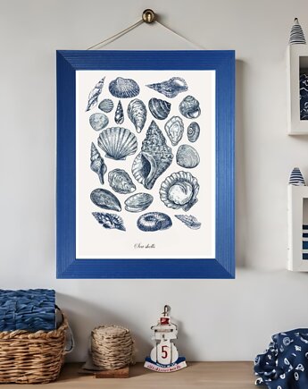 PLAKAT muszle, vintage, ilustracja, plansza, black dot studio