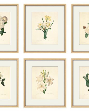 Kwiaty Ilustracja Druk Botaniczny prezent stara Grafika Rysunek, Victorian wall art