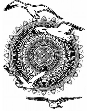 Mandala nr 26, Mewy, reprodukcje, anna marczewska