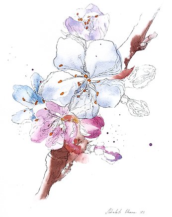 "Kwiaty japońskiej śliwki" 24*32 cm/ akwarela, ShkrebetsARTgallery