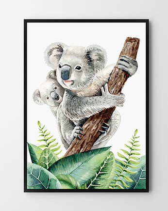 Koala - plakat, HOG STUDIO