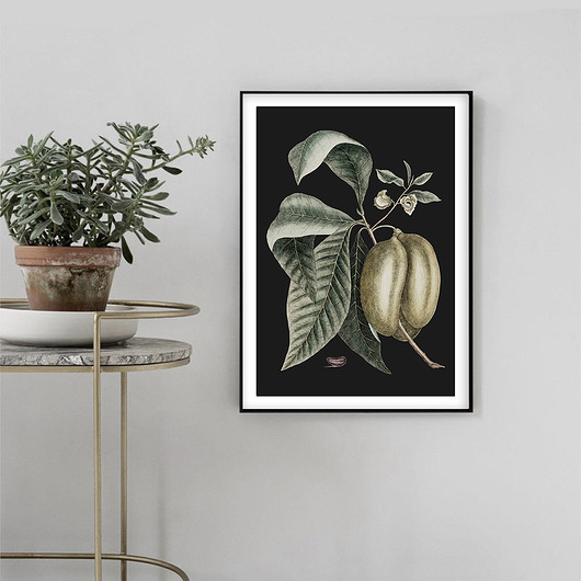 Plakat vintage - botaniczna ilustracja no.4 muybien