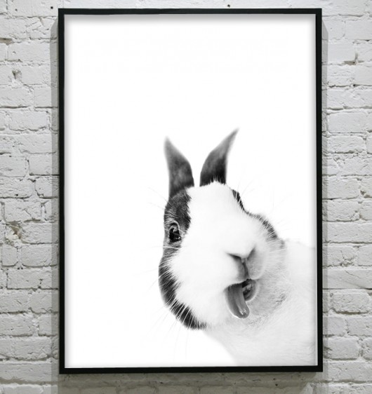 ZAJĄCZEK- poster - 50x70cm KOKO by HOKO