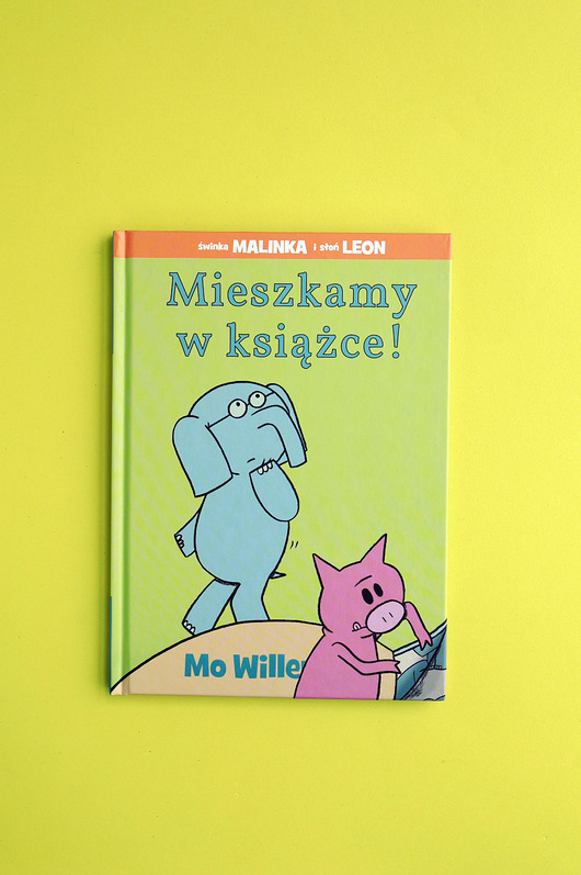 książeczki dla dzieci Mieszkamy w książce 4+