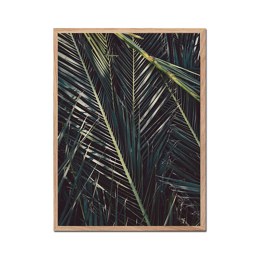 Plakat PALMS muybien