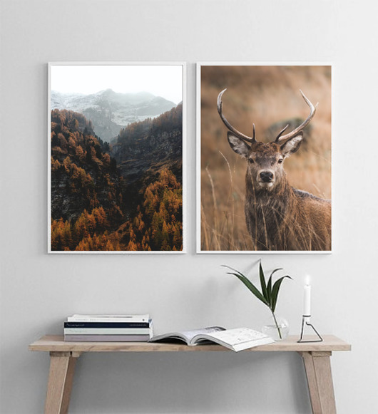 fotografia DWA PLAKATY natura jesień