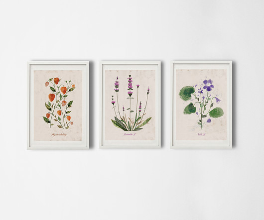 3 ilustracje botaniczne | A3 Anita Tomala