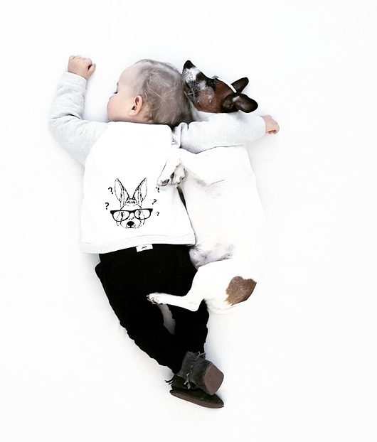 Bluza Królik El Piloto