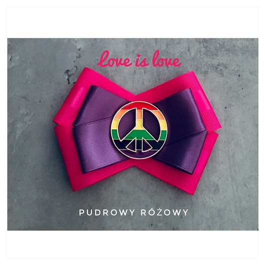 broszki Brosza z Kolekcji LOVE is LOVE  Pride