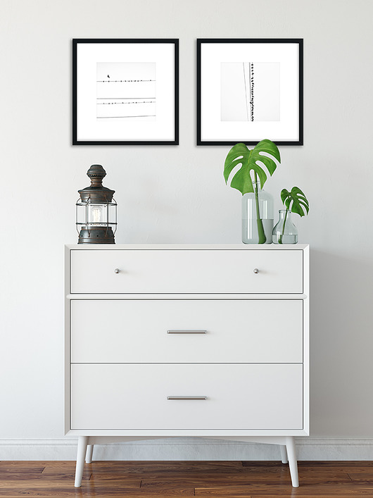 plakaty Dwa plakaty - Ptaki 50x50