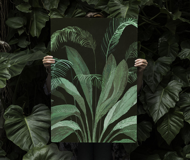 plakaty Plakat botaniczny  50x70 cm