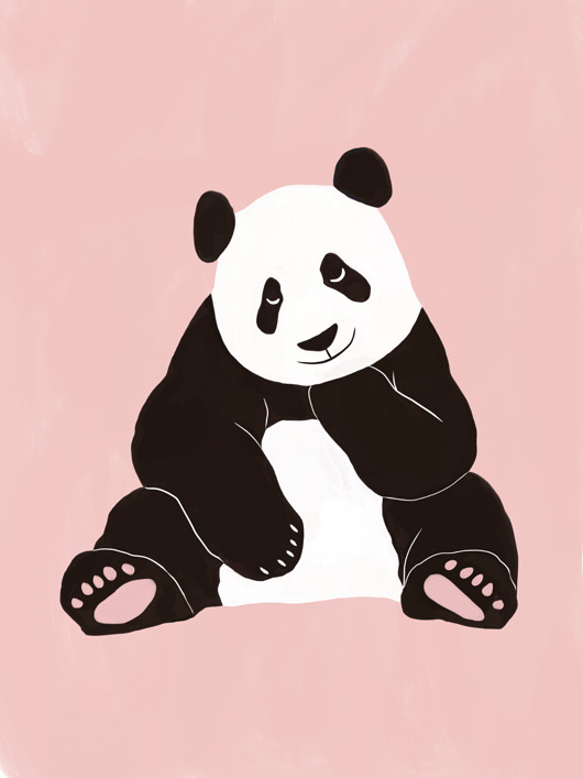 obrazy i plakaty do pokoju dziecięcego Panda