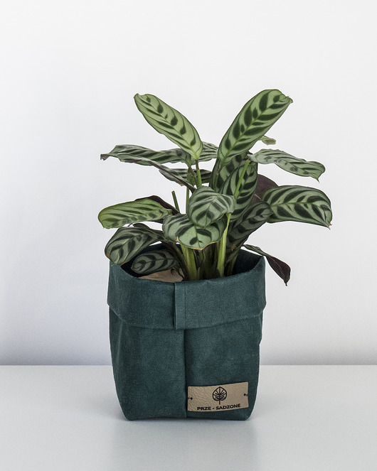 doniczki Wegańska osłonka z washpapy - kolor zielona butelka