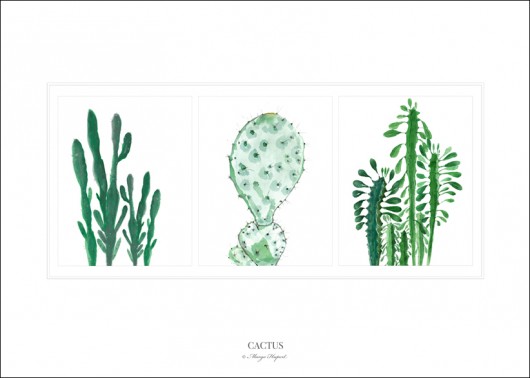 cactus plakat/poster, wydruk cyfrowy Margo Hupert