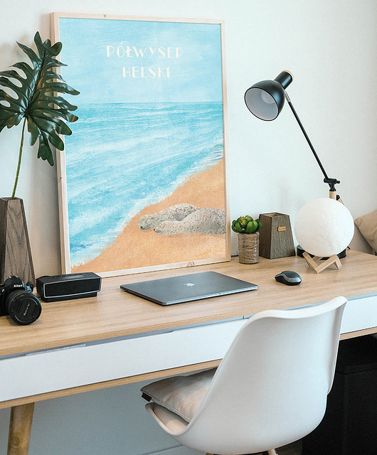 plakaty Półwysep Helski - Foki nad morzem - plakat 50x70 cm