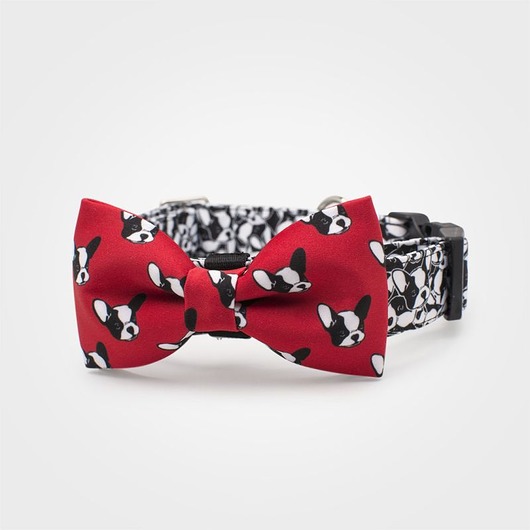 smycze i obroże dla psów i kotów Obroża z muszką dla psa BOSTON TERRIER