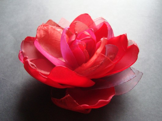 czerwona róża SundayRose
