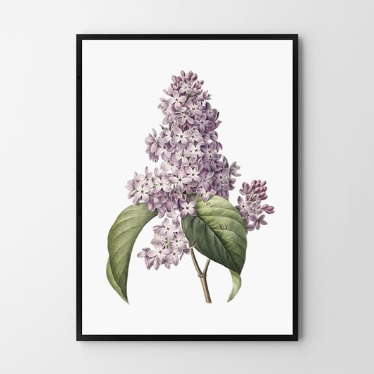 Plakat Bez vintage HOG STUDIO