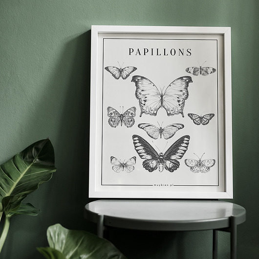 Plakat PAPILLONS muybien
