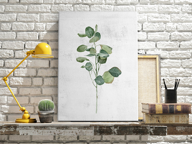 obrazy Obraz na płótnie ROŚLINKA EUKALIPTUS 40x60cm