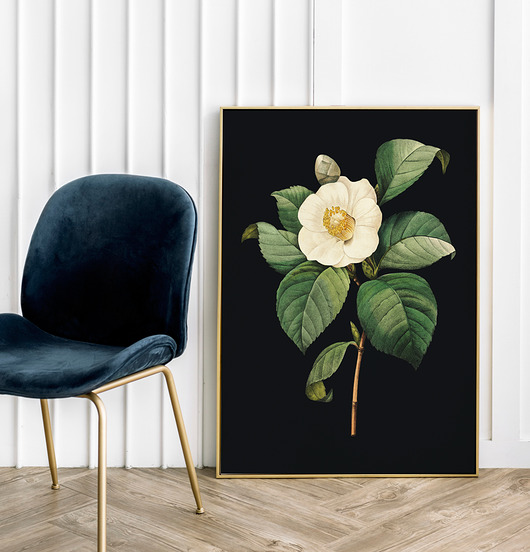 Plakat Black flower 2 vintage plakaty HOG STUDIO