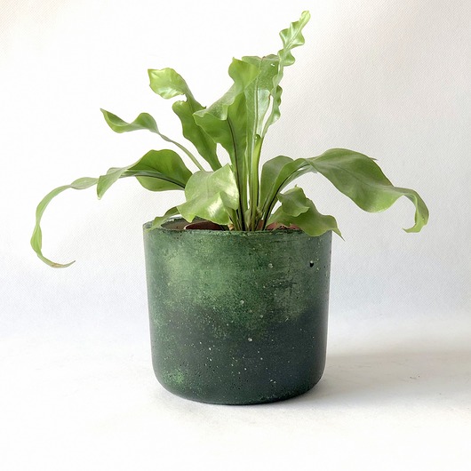 Doniczka B-12 Moss Betonove