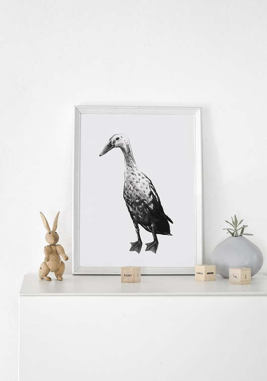 grafiki i ilustracje Gęś. Ilustracja tuszem i akwarelą.