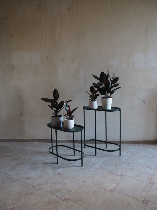 BLOSSOM NO 2 The Good Living&Co. 