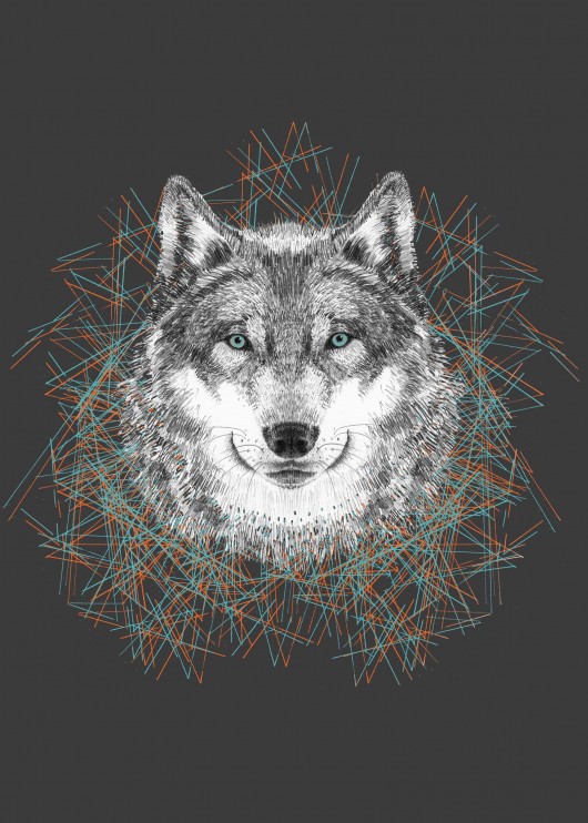 wolf call -  color Tiri riri