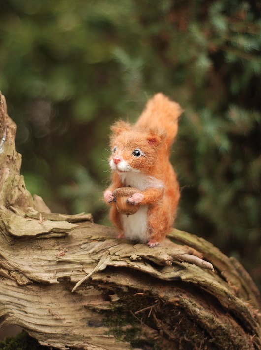 misie i maskotki Wiewiórka-zamówienie indywidualne