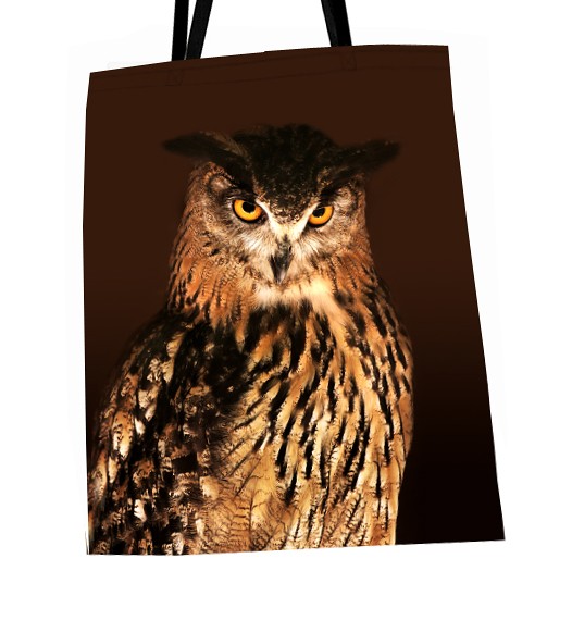 Brązowa sowa - foto torba +gratis AT design