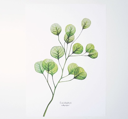 Eukalyptus Regina Land Atelier