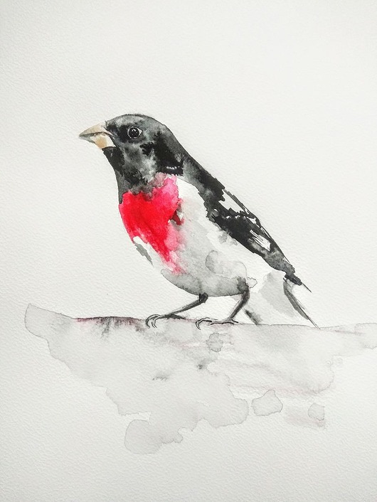 Akwarela Łuszcz strojny Wiktoria Borys Art