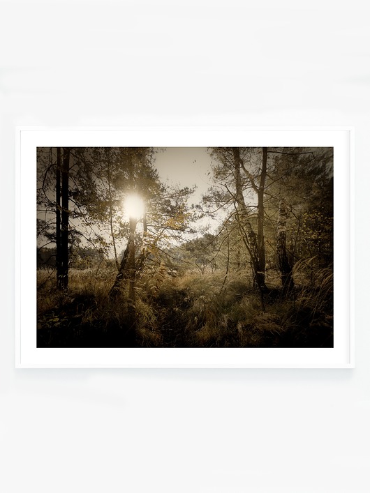 fotografia Las III