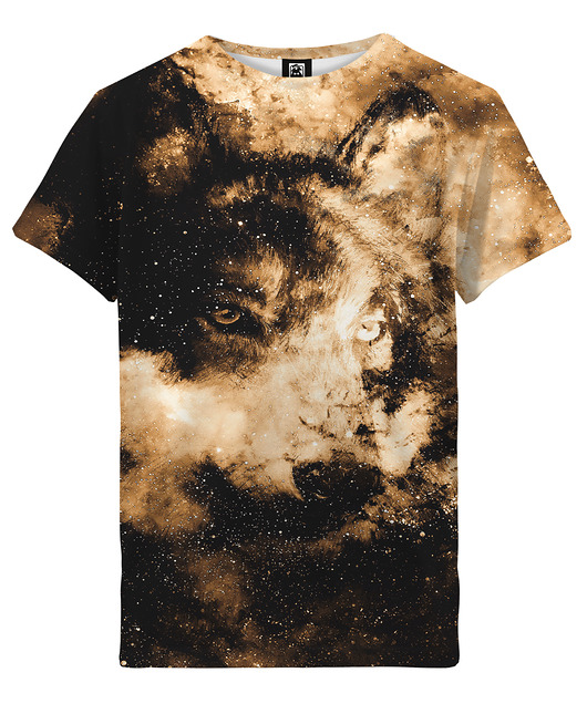 t-shirty dla chłopców T-shirt Boy DR.CROW Space Wolf