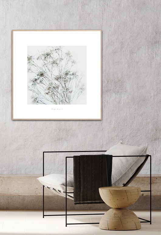 grafiki i ilustracje Gipsówka kwiaty obraz do domu / Fine Art Pint
