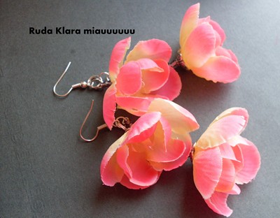 magnolie już kwitną.................. ruda klara