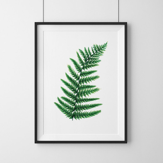 Plakat Paproć WISIMITU