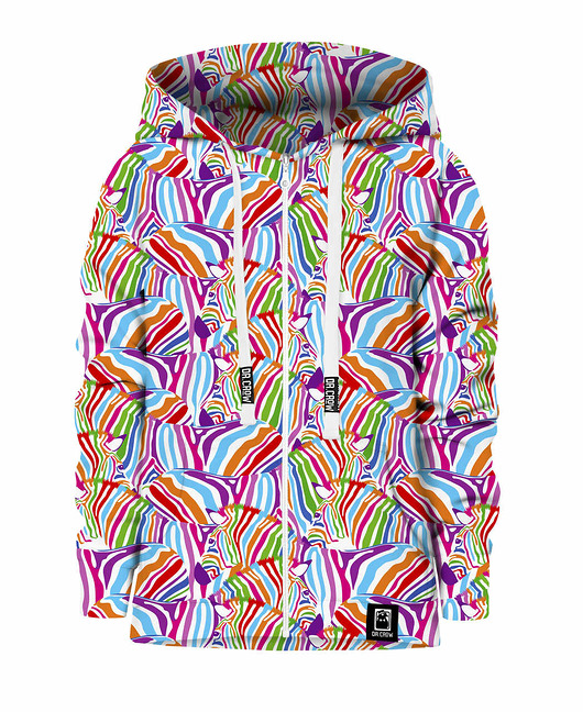 bluzy dla chłopców Bluza Zamek Chłopiec DR.CROW Zebra