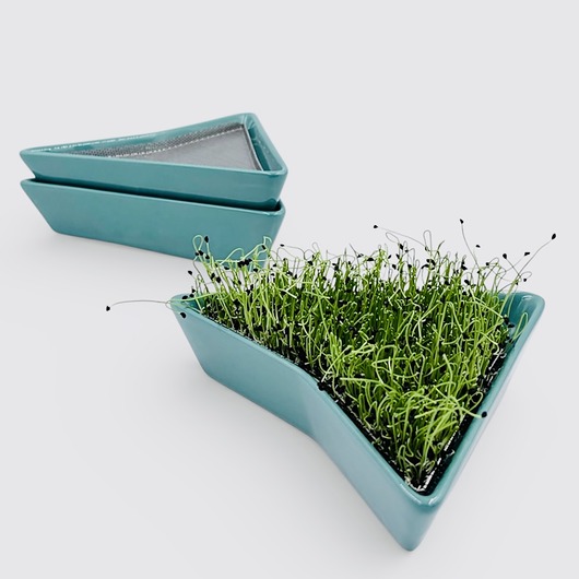 kuchnia - różne Zestaw 3 morskich kiełkowników + BIO ZIARNA