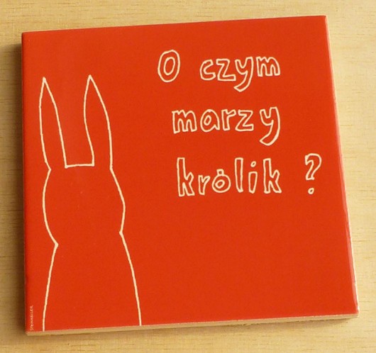 o czym marzy królik  STEINKELLER