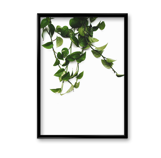 plakaty Plakat Zieleń #4 