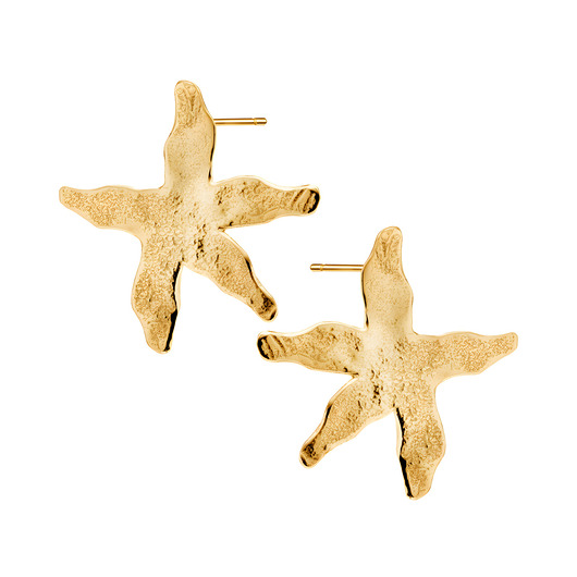 kolczyki pozłacane Pozłacane kolczyki rozgwiazdy srebrne BLOSSOM