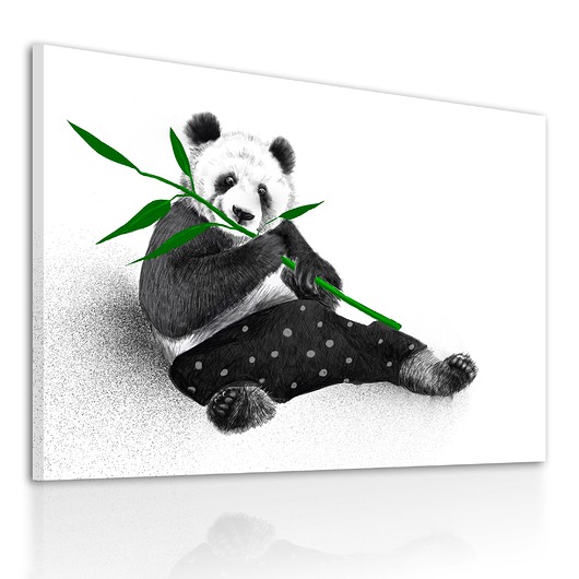 obrazy Obraz na płótnie Panda z Bambusem 80x60cm