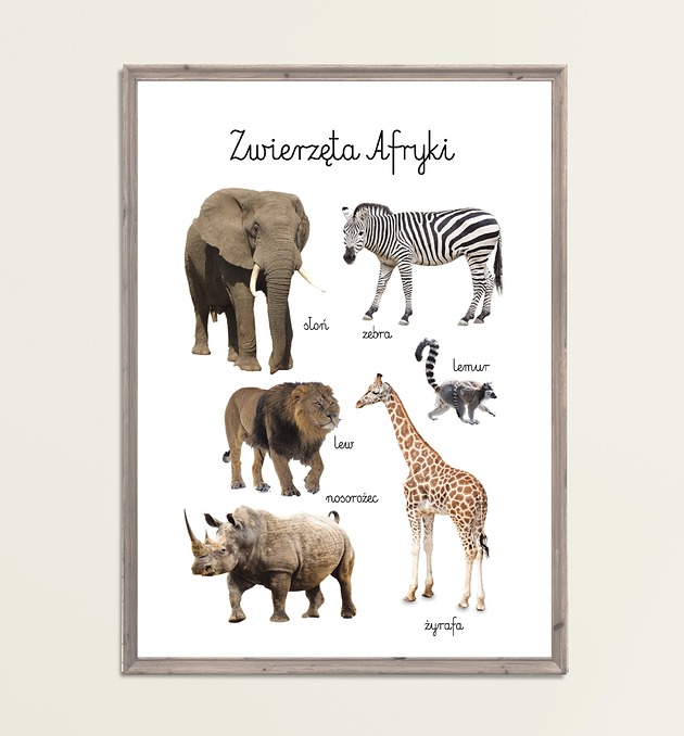 obrazy i plakaty do pokoju dziecięcego Plakat Zwierzęta Afryki Montessori Farma