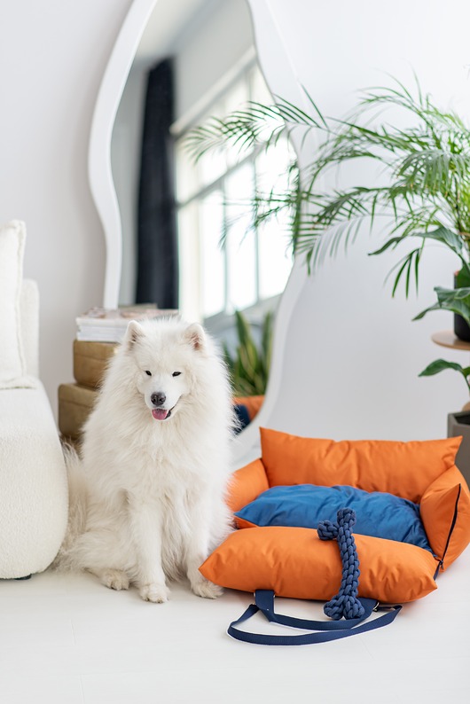 legowiska dla psów i kotów Legowisko przenośnie torba dla zwierząt Orange