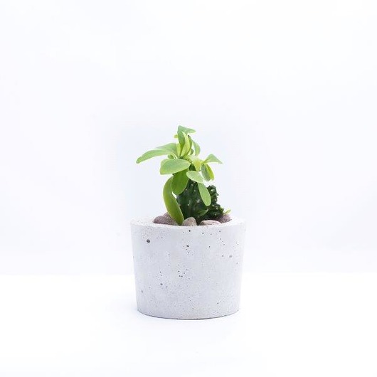 Doniczka Betonowa OVAL 9,5x12cm betonika